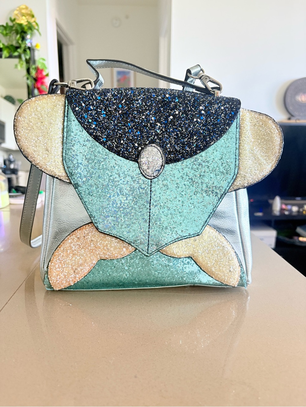 Danielle Nicole Cinderella Purse